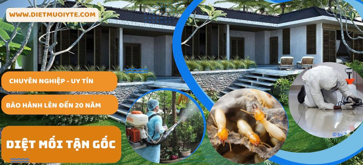 ẢNH CHẠY SLIDE TRANG CHỦ