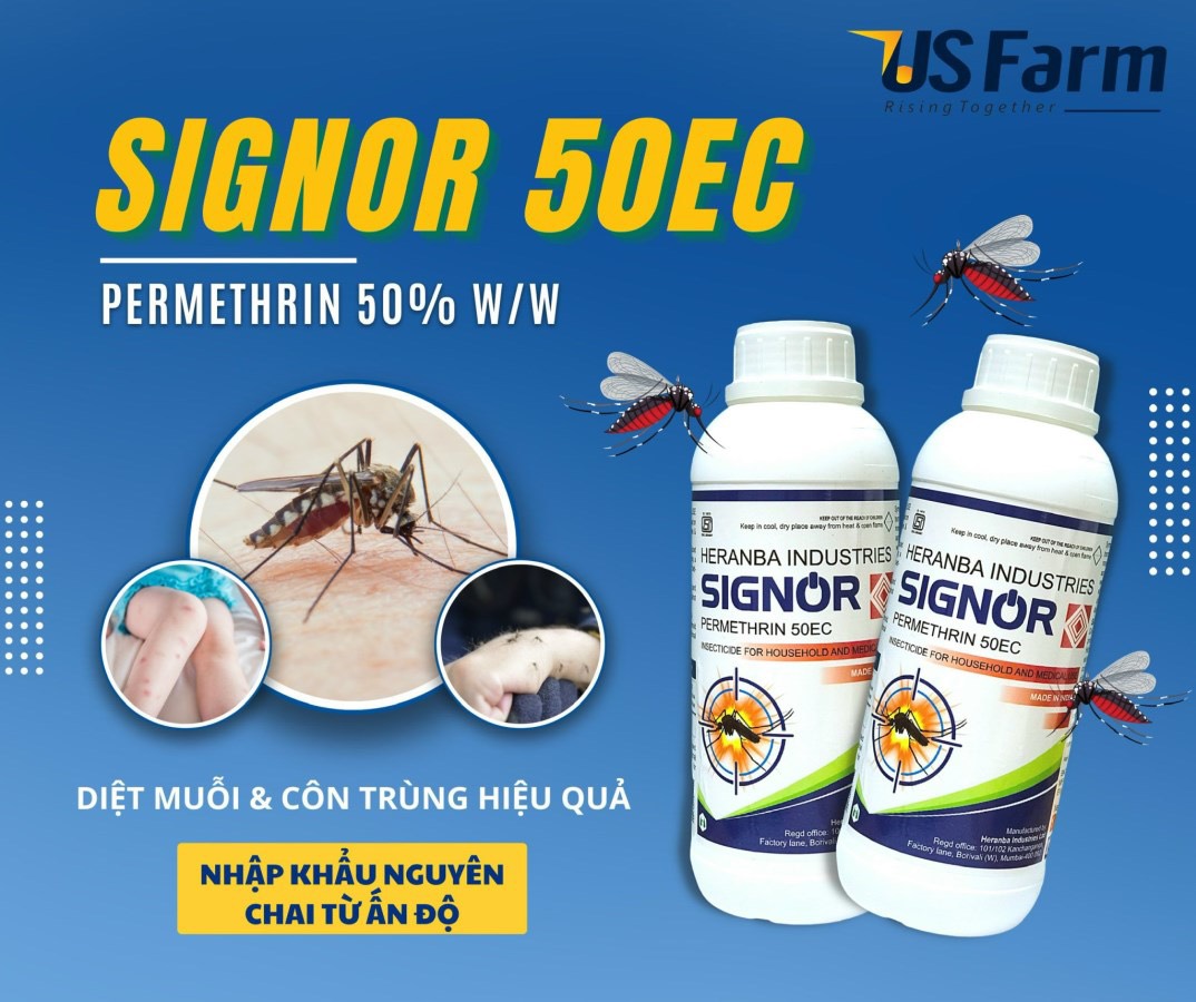 Thuốc Diệt Muỗi SIGNOR PERMETHRIN 50EC 1 Lít- Xuất Xứ Ấn Độ